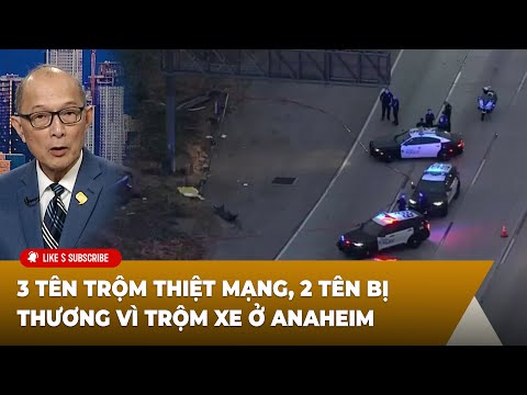 Kính Xe Ô Tô: Hướng Dẫn Chi Tiết Từ Cấu Tạo Đến Bảo Dưỡng