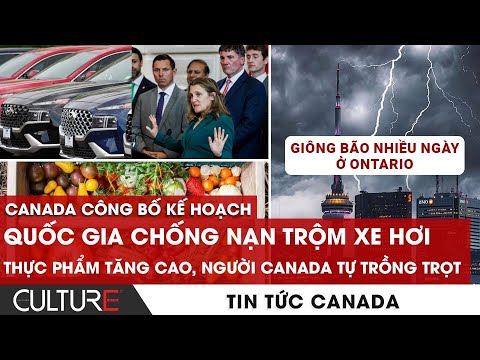 Xe ô tô có hệ thống chống sét không: Giải mã cơ chế an toàn