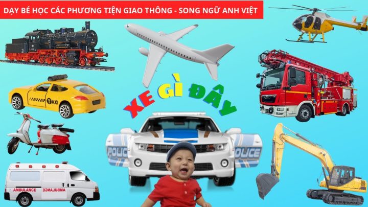 Phân loại Phương tiện Giao thông và Máy Công trình Toàn diện