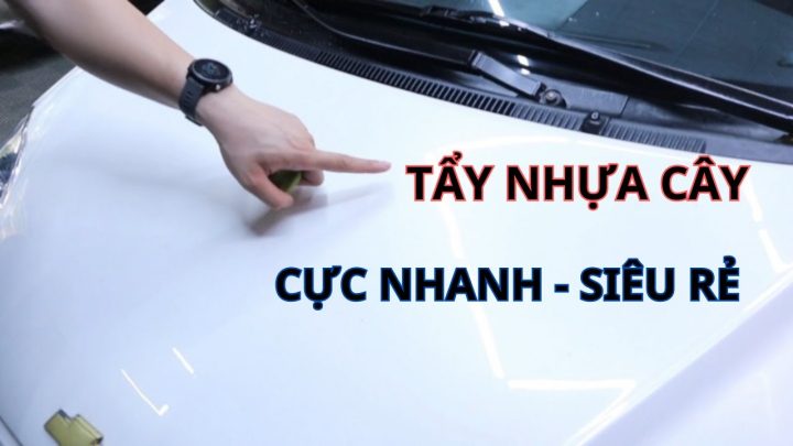 Hướng Dẫn Tẩy Nhựa Cây Trên Xe Ô Tô Hiệu Quả, An Toàn