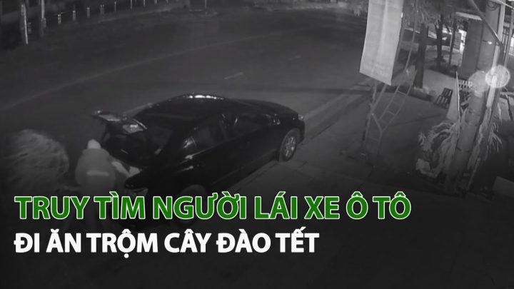 Tình huống xe ô tô bị hư hại nặng nề sau vụ va chạm có thể liên quan đến trộm cắp hoặc tai nạn nghiêm trọng.
