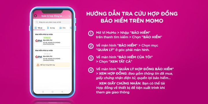 Hướng Dẫn Tra Cứu Bảo Hiểm Xe Ô Tô Chi Tiết Nhất - image 1