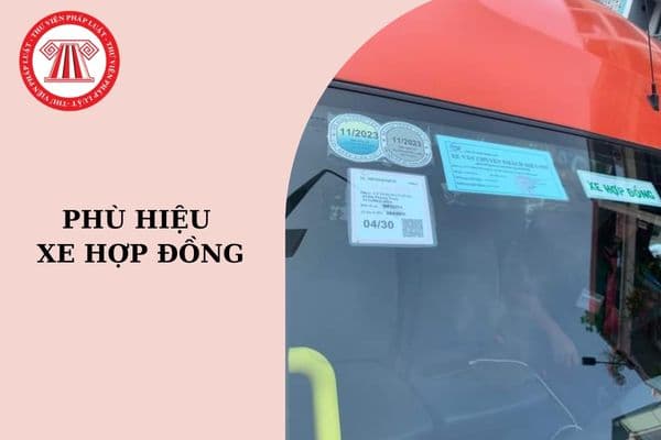 Phù Hiệu Xe Ô Tô: Quy Định, Các Lỗi Thường Gặp Và Cách Tránh