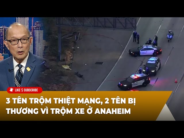 Kính Xe Ô Tô: Hướng Dẫn Chi Tiết Từ Cấu Tạo Đến Bảo Dưỡng