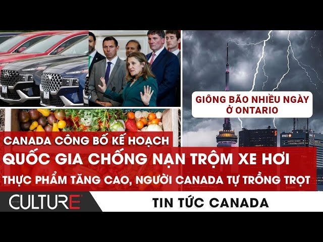 Xe ô tô có hệ thống chống sét không: Giải mã cơ chế an toàn