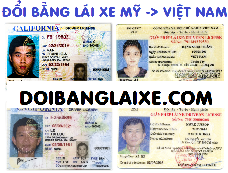 Đổi Bằng Lái Xe Ô Tô Cao Bá Quát: Hướng Dẫn Chi Tiết A-Z