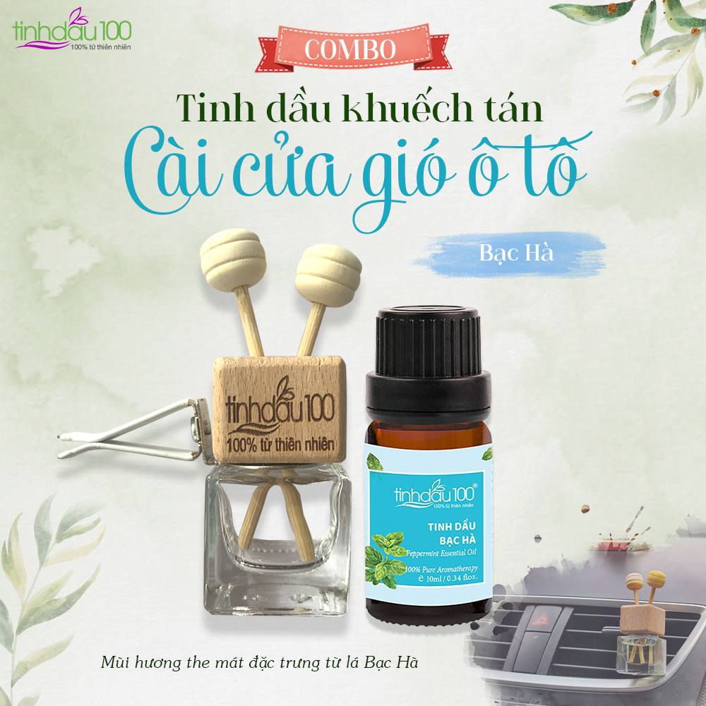 Tinh dầu bạc hà cho xe ô tô: Giải pháp thư giãn và khử mùi hiệu quả