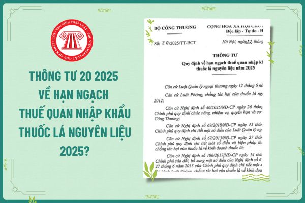 Thông tư 20 BCT nhập khẩu xe ô tô: Quy định và tác động
