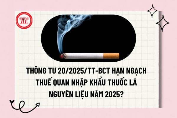 Thông tư 20 BCT nhập khẩu xe ô tô: Quy định và tác động